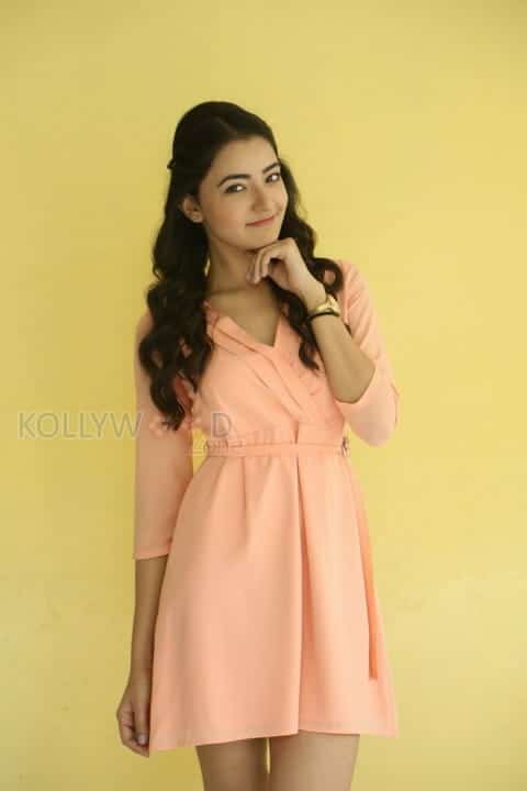 Beautiful Actress Rukshar Mir Photos 63