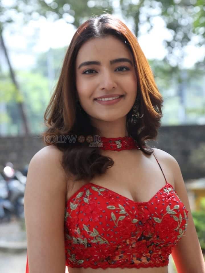 Heroine Rukshar Dhillon at Spark Movie Success Meet Photos 24