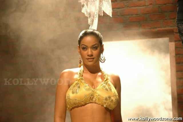 Hot Mumaith Khan Stills 14