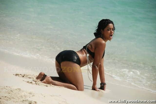 Hot Sexy Mumaith Khan Glamour Stills 35