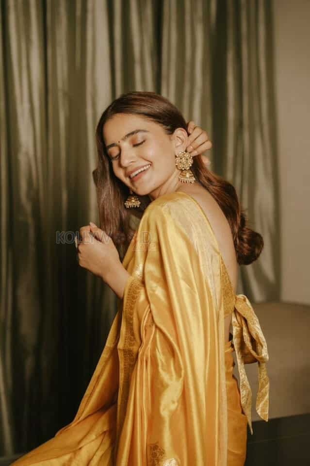 Jugaadistan Actress Rukshar Dhillon in a Golden Saree Photoshoot Pictures 09