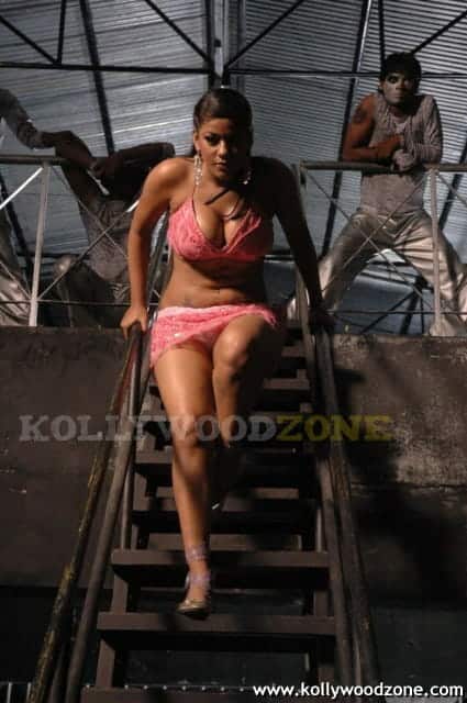 Mumaith Khan Spicy Hot Sexy Pics 43