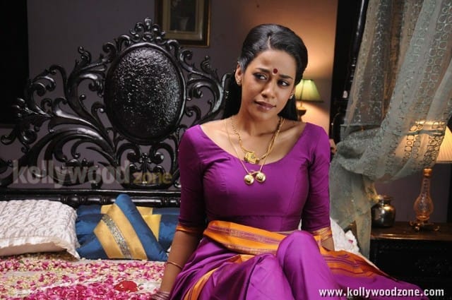 Mumaith Khan Spicy Saree Pictures 34