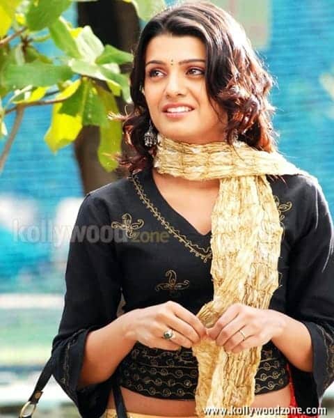 Pazhaya Vannarapettai Heroine Tashu Kaushik Sexy Photos 10
