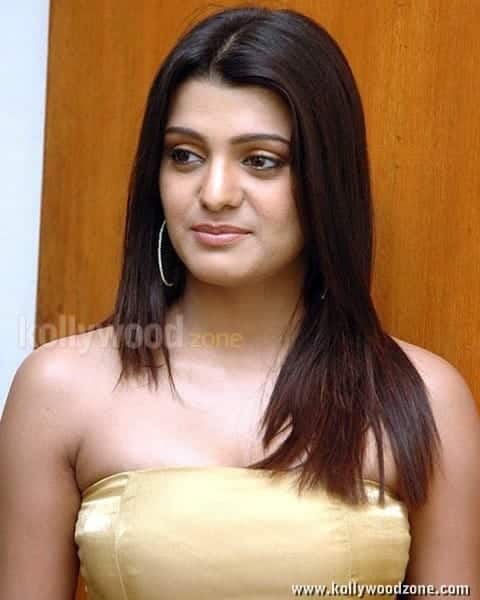 Pazhaya Vannarapettai Heroine Tashu Kaushik Sexy Photos 16