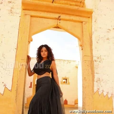 Piaa Bajpai Sexy Pictures 38