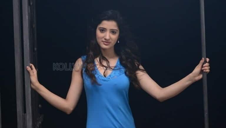 Rakshaka Bhatudu Heroine Richa Panai Pictures 11