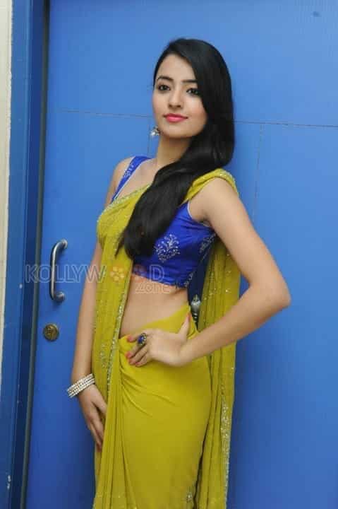 Rukshar Mir Sexy Saree Photos 20