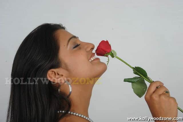 Sexy Tashu Kaushik Photos 27