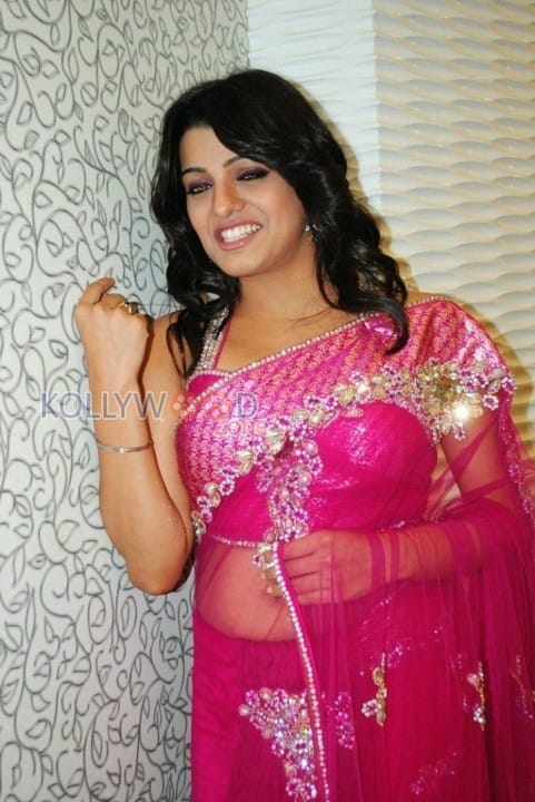 Sexy Telugu Actress Tashu Kaushik Pictures 13