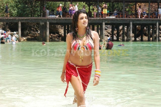 Tashu Kaushik143