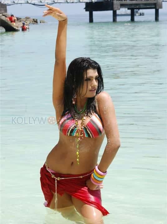 Telugu Actress Tashu Kaushik Spicy Pictures 01