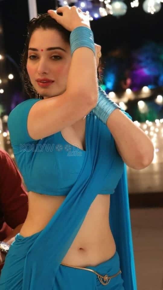 Shapely Tamanna in Sexy Saree Pictures 02