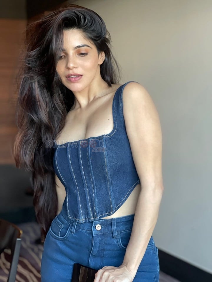 Super Sexy DivyaBharathi Cleavage in a Blue Denim Corset Sleeveless Top and Jeans Photos 04