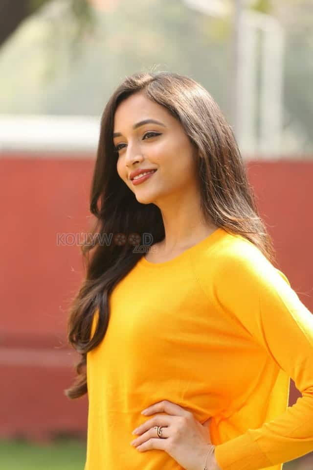 Actress Srinidhi Shetty At Kgf Success Meet Photos 17