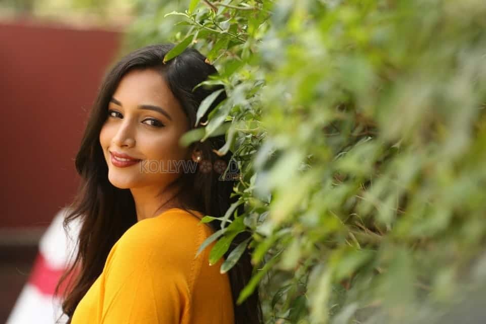 Actress Srinidhi Shetty At Kgf Success Meet Photos 27