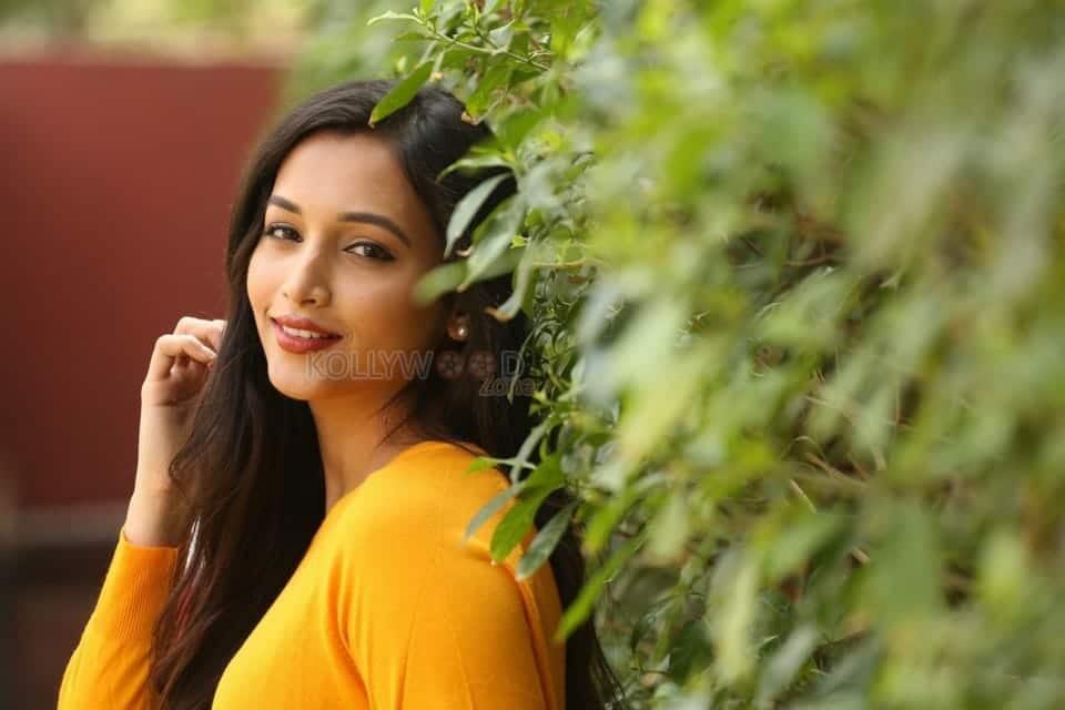 Actress Srinidhi Shetty At Kgf Success Meet Photos 28