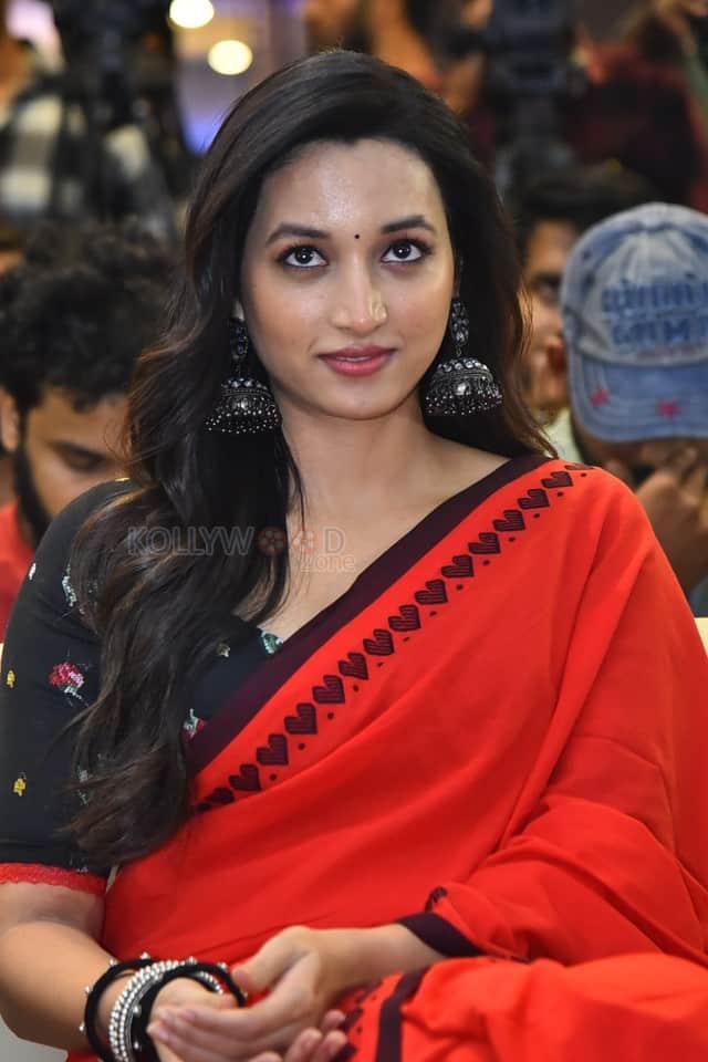 Heroine Srinidhi Shetty at HIT 3 Success Meet Pictures 01