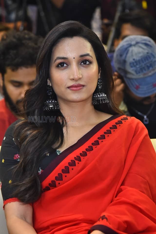 Heroine Srinidhi Shetty at HIT 3 Success Meet Pictures 02