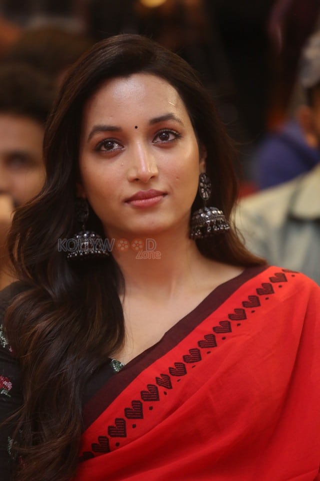 Heroine Srinidhi Shetty at HIT 3 Success Meet Pictures 21