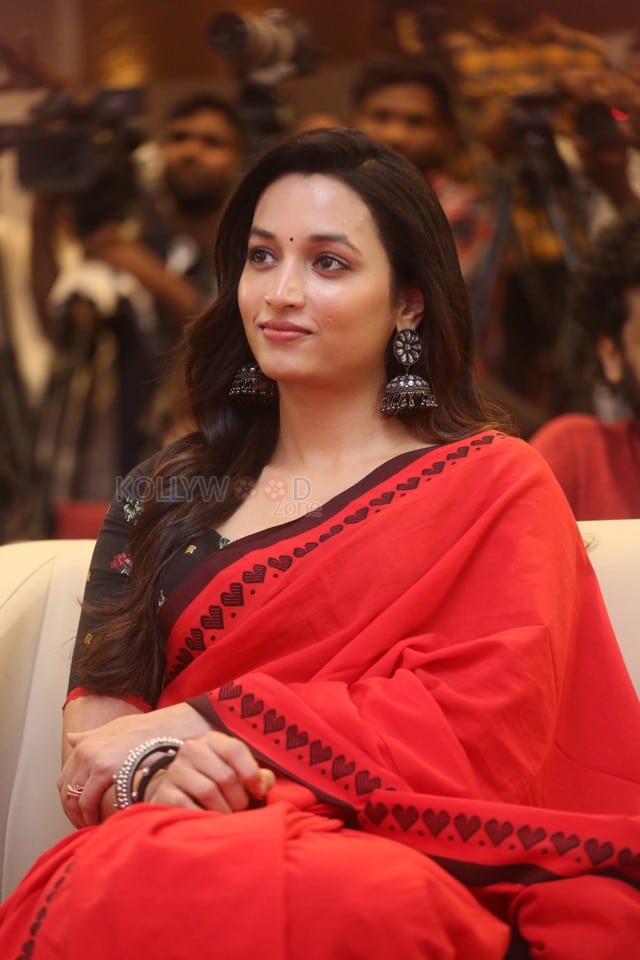 Heroine Srinidhi Shetty at HIT 3 Success Meet Pictures 27