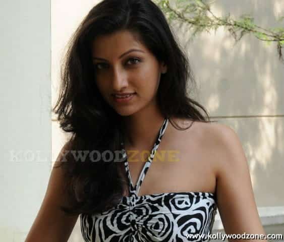 Actress Hamsa Nandhini Hot Pics 51