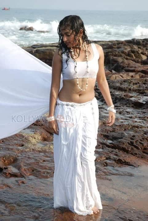 Actress Madhavi Latha Hot Sexy Wet Saree Photos 04