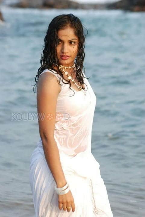 Actress Madhavi Latha Hot Sexy Wet Saree Photos 12