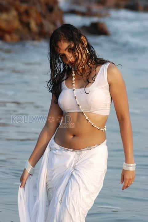 Actress Madhavi Latha Hot Sexy Wet Saree Photos 13