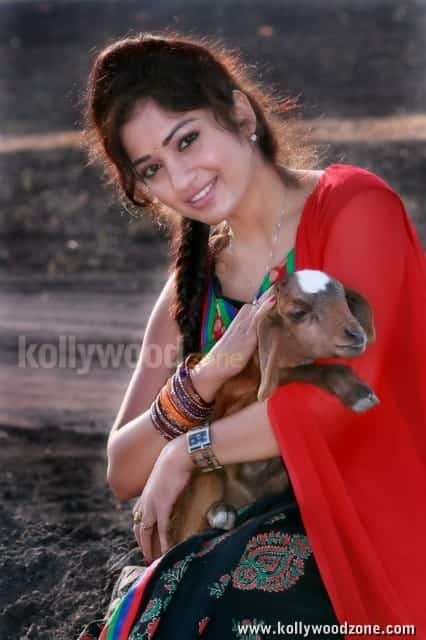 Actress Madhavi Latha Sexy Pics 09