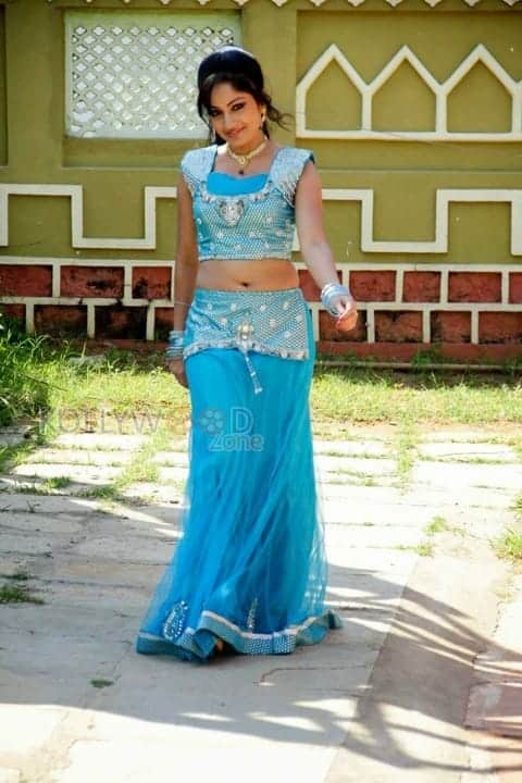 Actress Madhavi Latha Sexy Saree Pictures 02