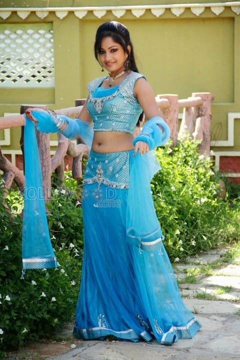 Actress Madhavi Latha Sexy Saree Pictures 12
