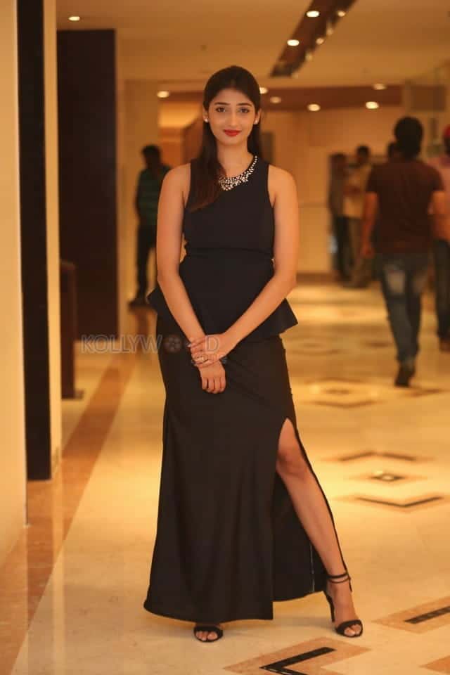 Actress Priya Vadlamani At Premaku Raincheck Movie Pre Release Event Photos 26