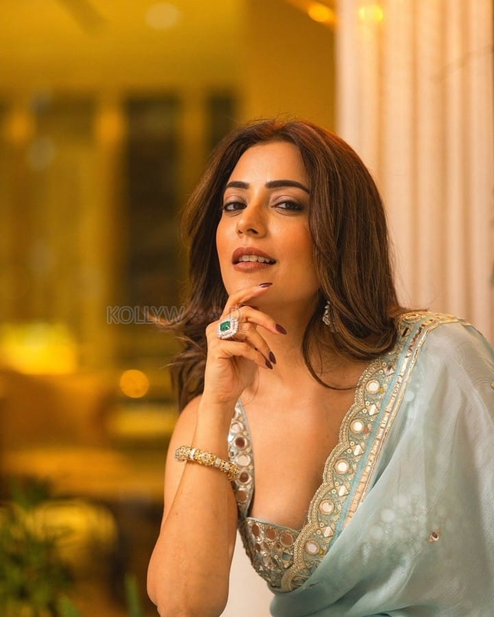 Beautiful Nisha Aggarwal in a Sky Blue Pleated Saree with a Sleeveless Embroidered Blouse Photos 01