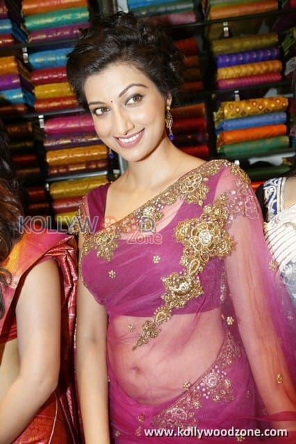 Hamsa Nandini Sexy Saree Pictures 03