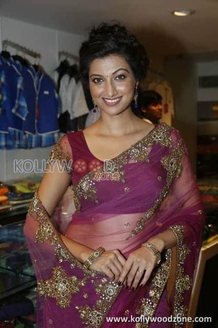 Hamsa Nandini Sexy Saree Pictures 04