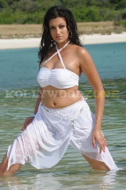 Sexy Hamsa Nandini Pictures 02