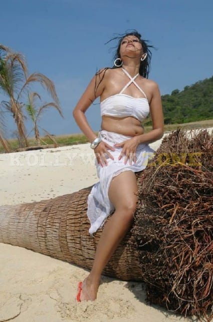 Sexy Hamsa Nandini Pictures 20
