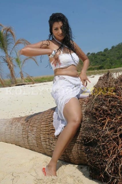 Sexy Hamsa Nandini Pictures 21