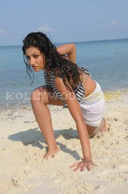 Sexy Hamsa Nandini Pictures 26