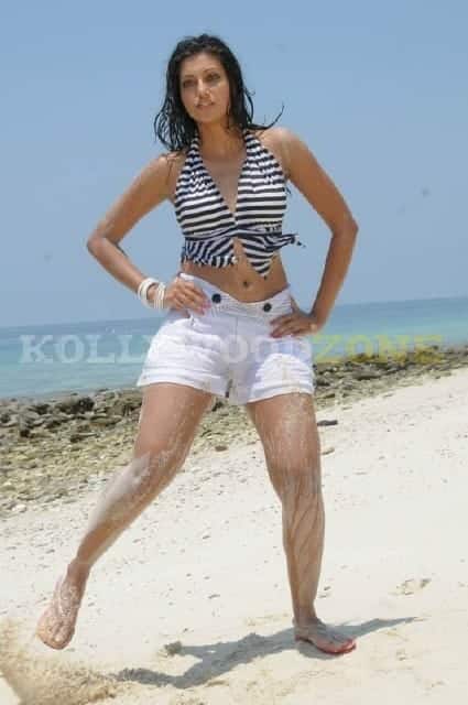 Sexy Hamsa Nandini Pictures 28