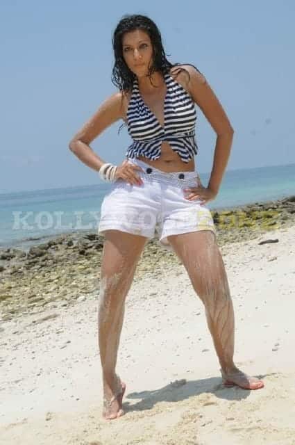 Sexy Hamsa Nandini Pictures 29