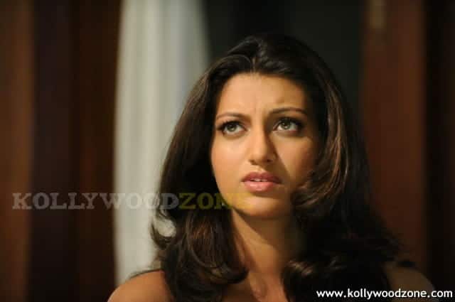 Sexy Hamsa Nandini Stills 11