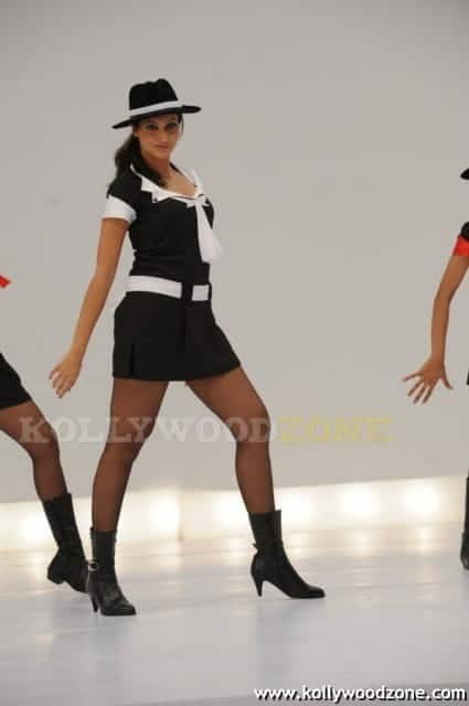 Sexy Hamsa Nandini Stills 26