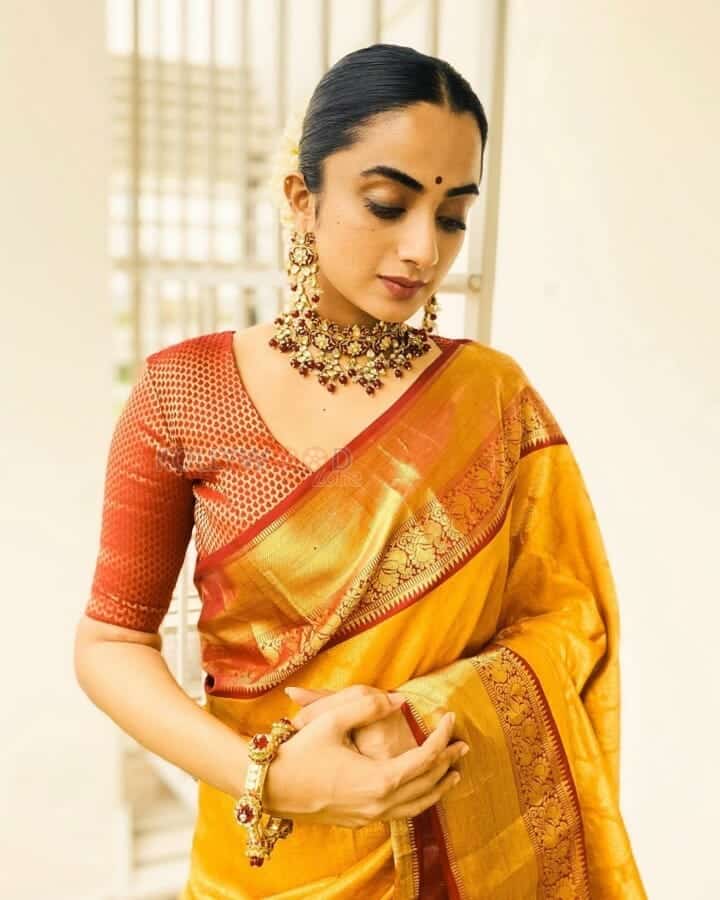 Actress Namitha Pramod Traditional Photoshoot Pictures 01 (193666 ...