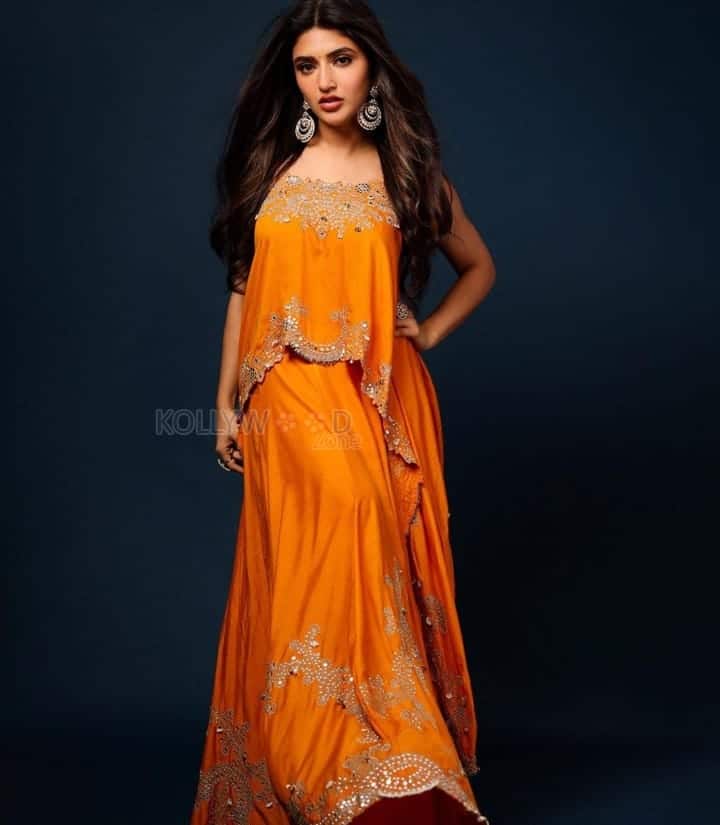 Beautiful Sreeleela in an Orange Embroidered Lehenga Set Photos 01