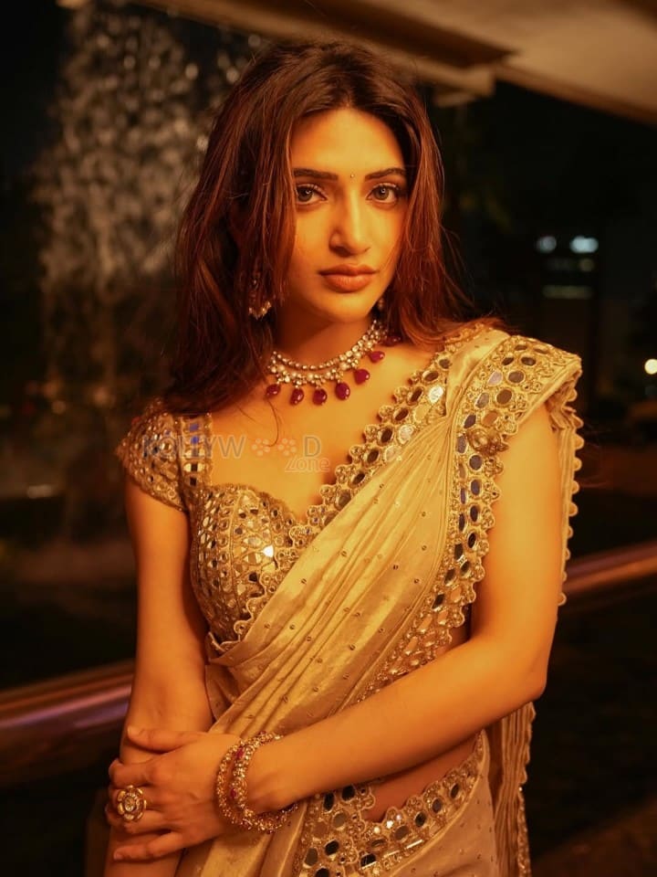 Breathtaking Sreeleela in a Golden Beige Mirror Work Saree with Matching Blouse Photos 03