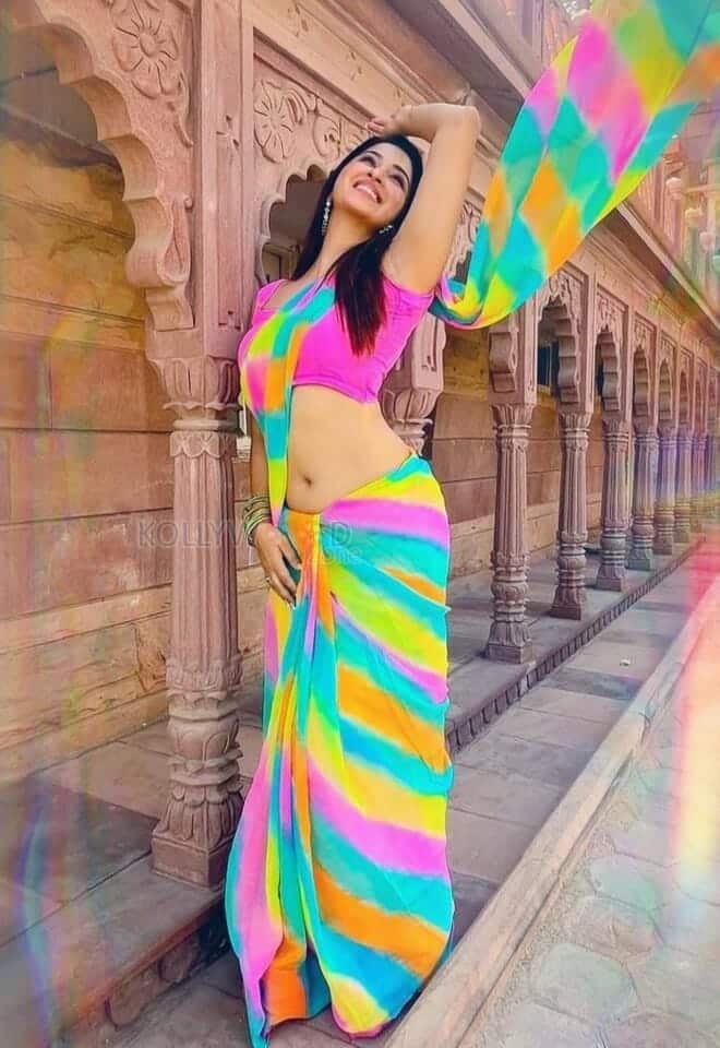 Colourful Beauty Eshanya Maheshwari Sexy Navel Saree Photos 01