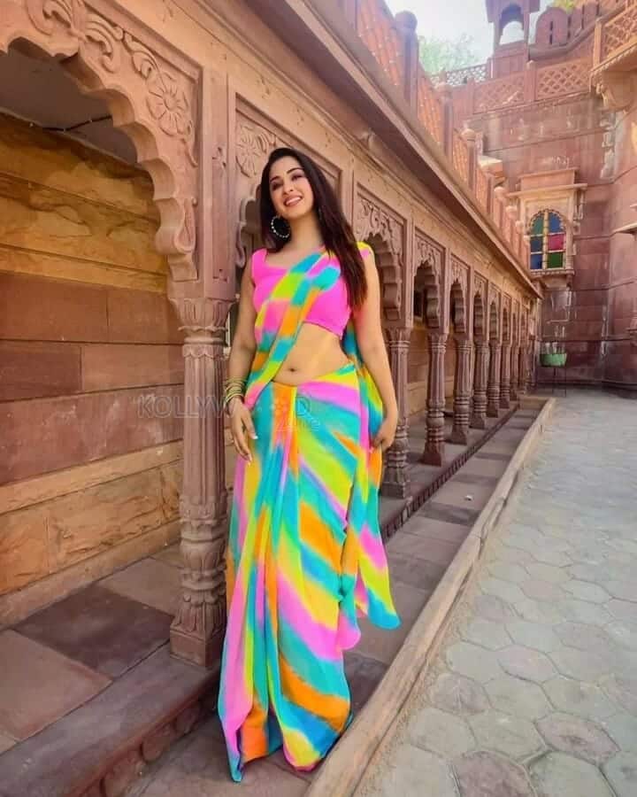 Colourful Beauty Eshanya Maheshwari Sexy Navel Saree Photos 03