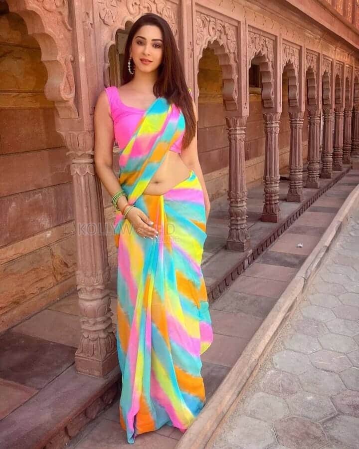 Colourful Beauty Eshanya Maheshwari Sexy Navel Saree Photos 04